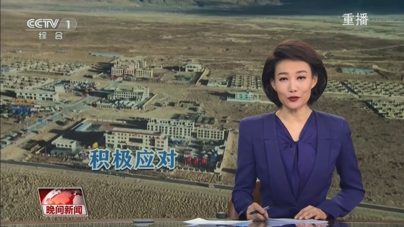 动的案例
